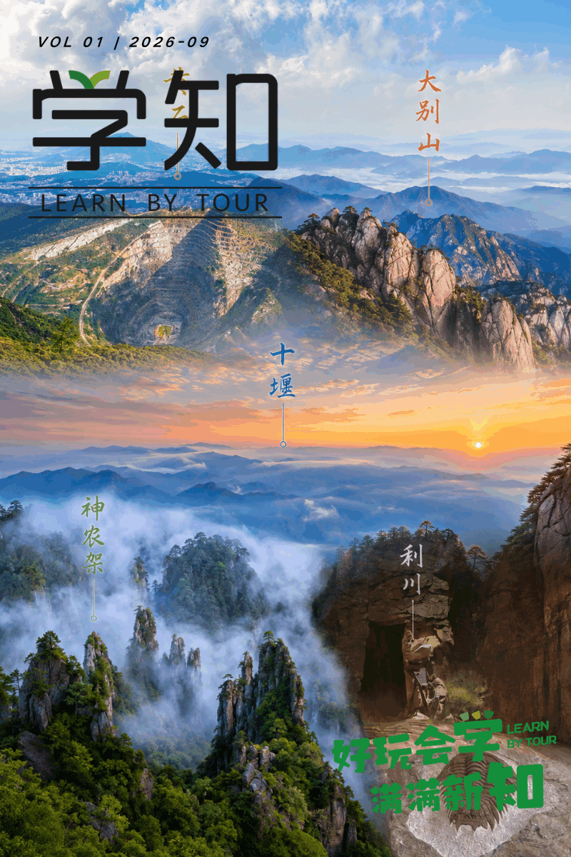 武汉学知获评全省文旅十佳，我们想聊聊背后的思考