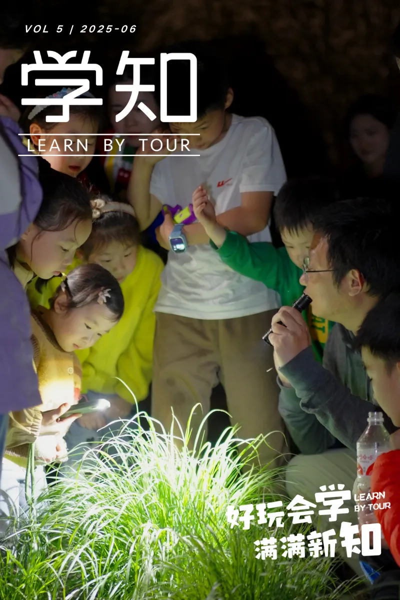 武汉全年最适合夜观的夏天即将开启！只有3个月！​金牌自然导师带队：自然夜观 x 昆虫观测，和孩子一起开启暗夜冒险