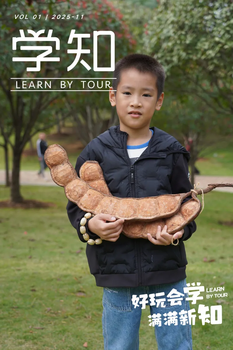 活动照直出｜上周的捡秋现场，孩子们竟然玩到不想回家！本周末最后一场，手慢无