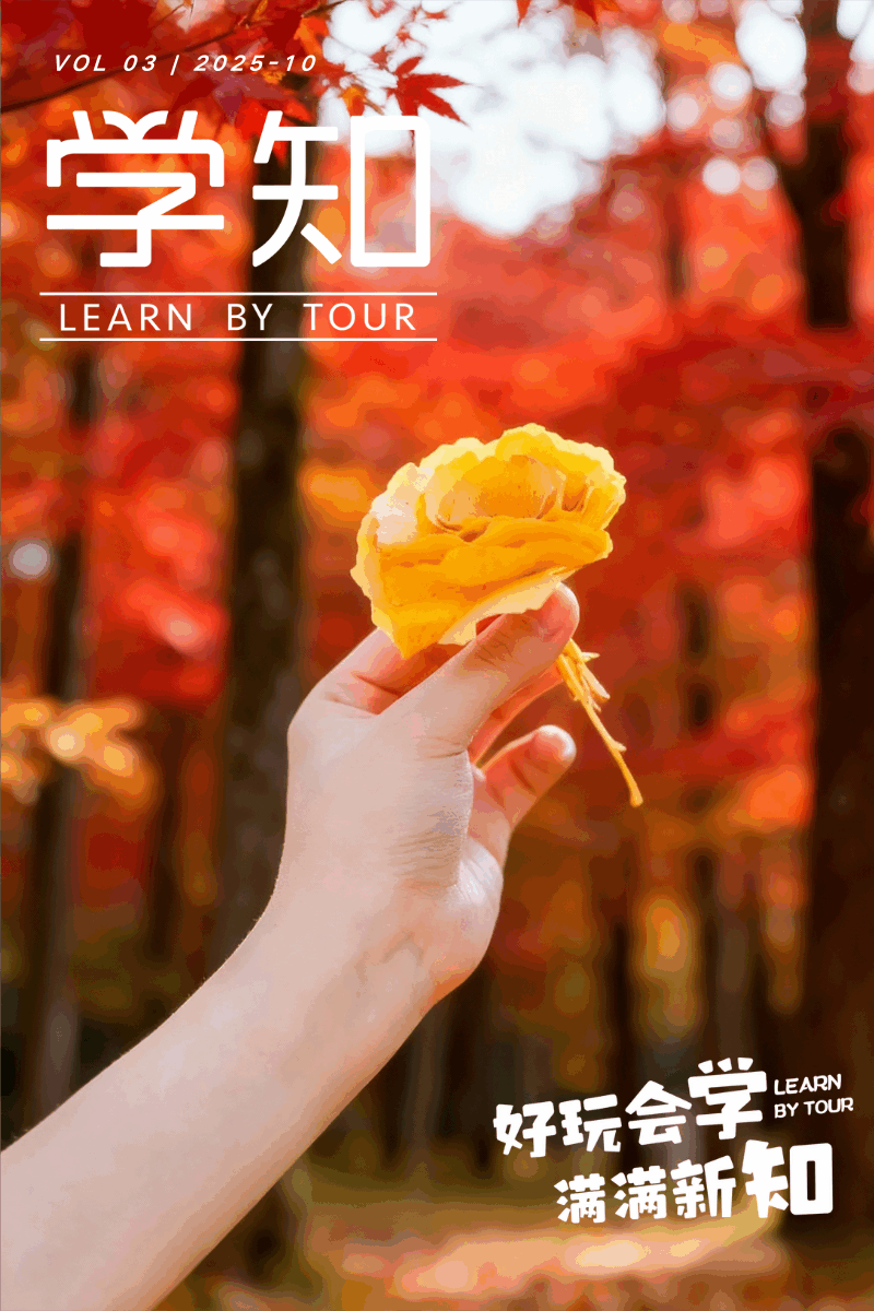 @所！有！人！收好这份“捡秋攻略”，一起去捡果子呀！秋天限定版“大自然寻宝游戏”