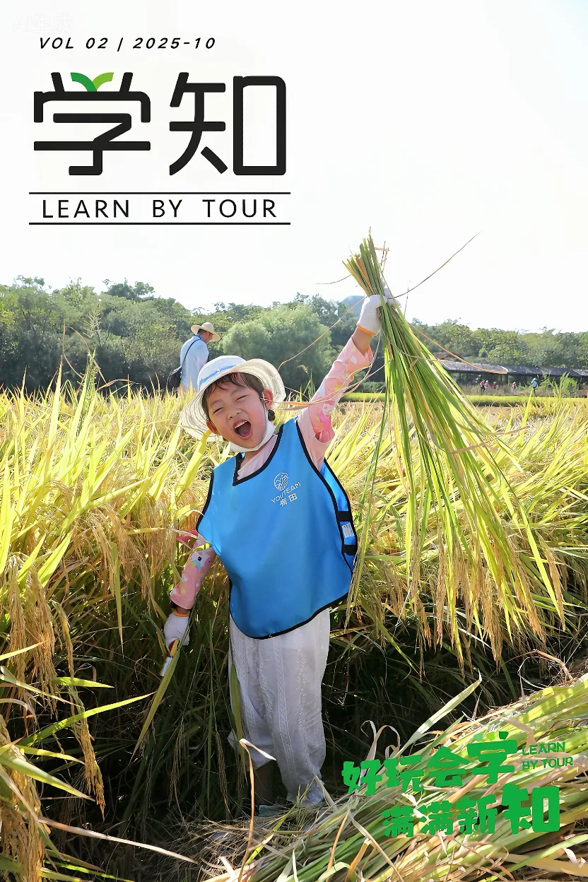 武汉秋收限定回归！30亩城市稻田，全家来场「稻香奇遇记」，给孩子最棒的田野课堂！