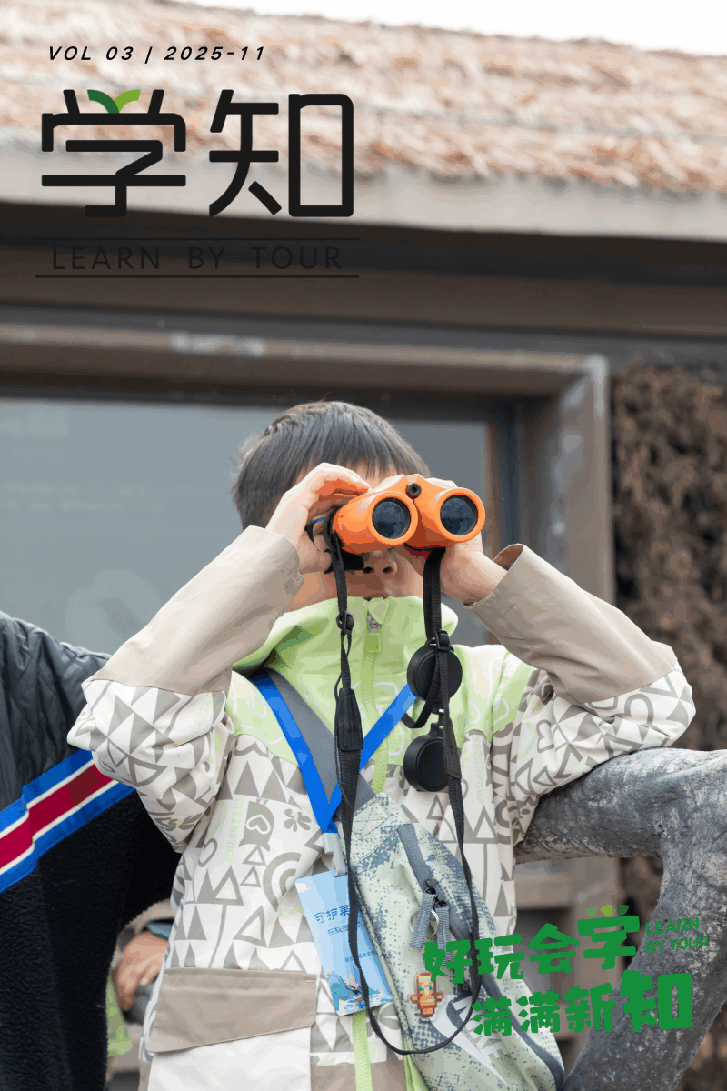 本周，首批候鸟已抵达！一定不要错过，带孩子去观鸟！