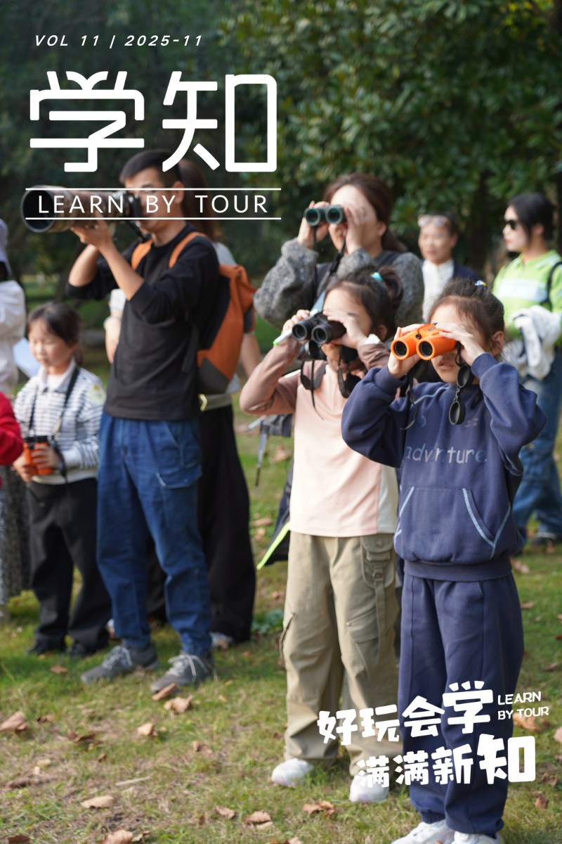 首批候鸟集结武汉！府河湿地进入一年中最热闹的30天，亲子家庭千万别错过