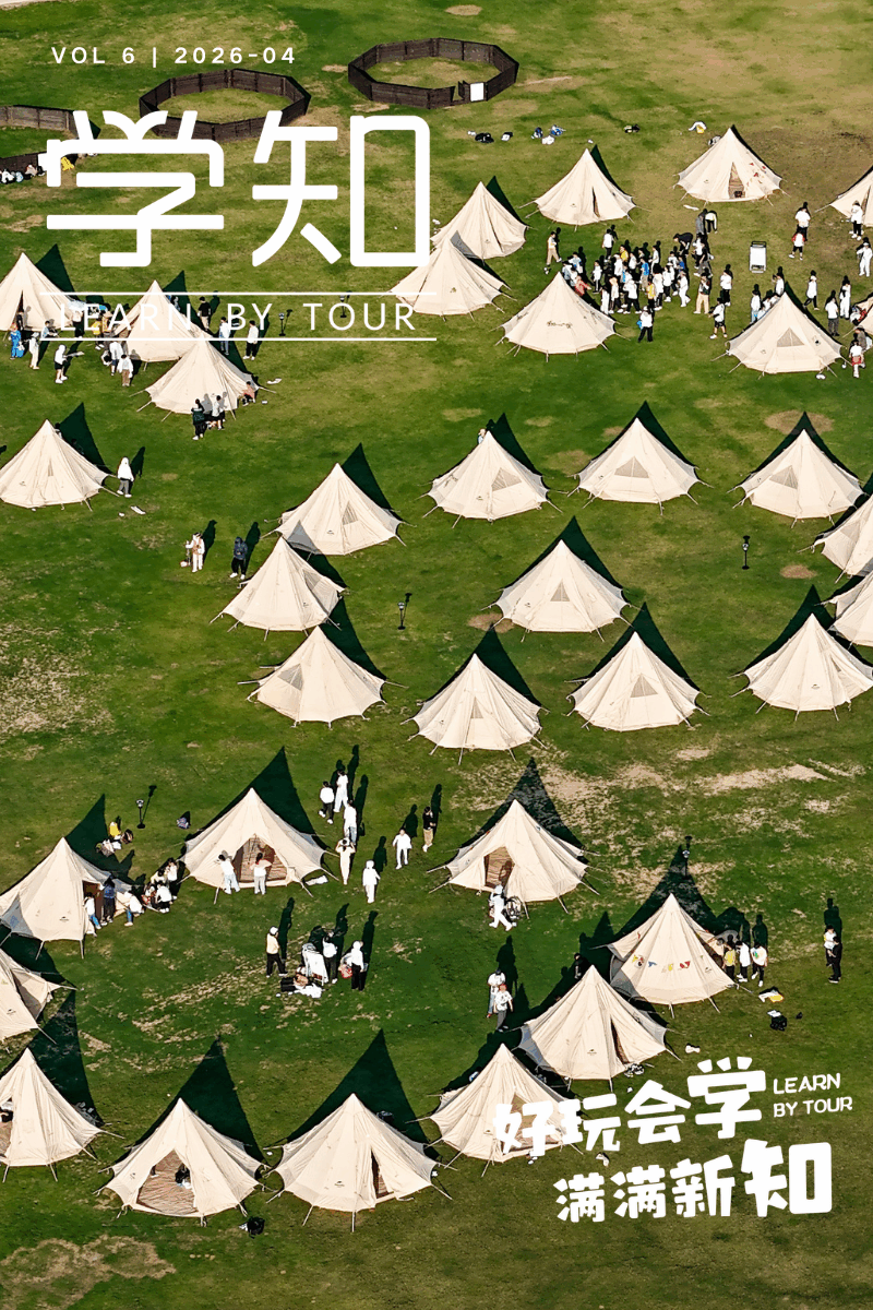 2天1晚 | 五一避开人从众！700亩森系露营，全托管带娃，爸妈出片，摸鱼攀树露天电影，围坐篝火看烟花！